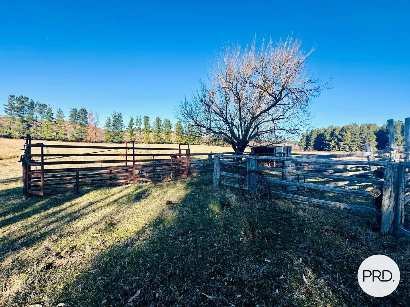 Additional image 23 of 233 Logans Road, Tumbarumba NSW 2653