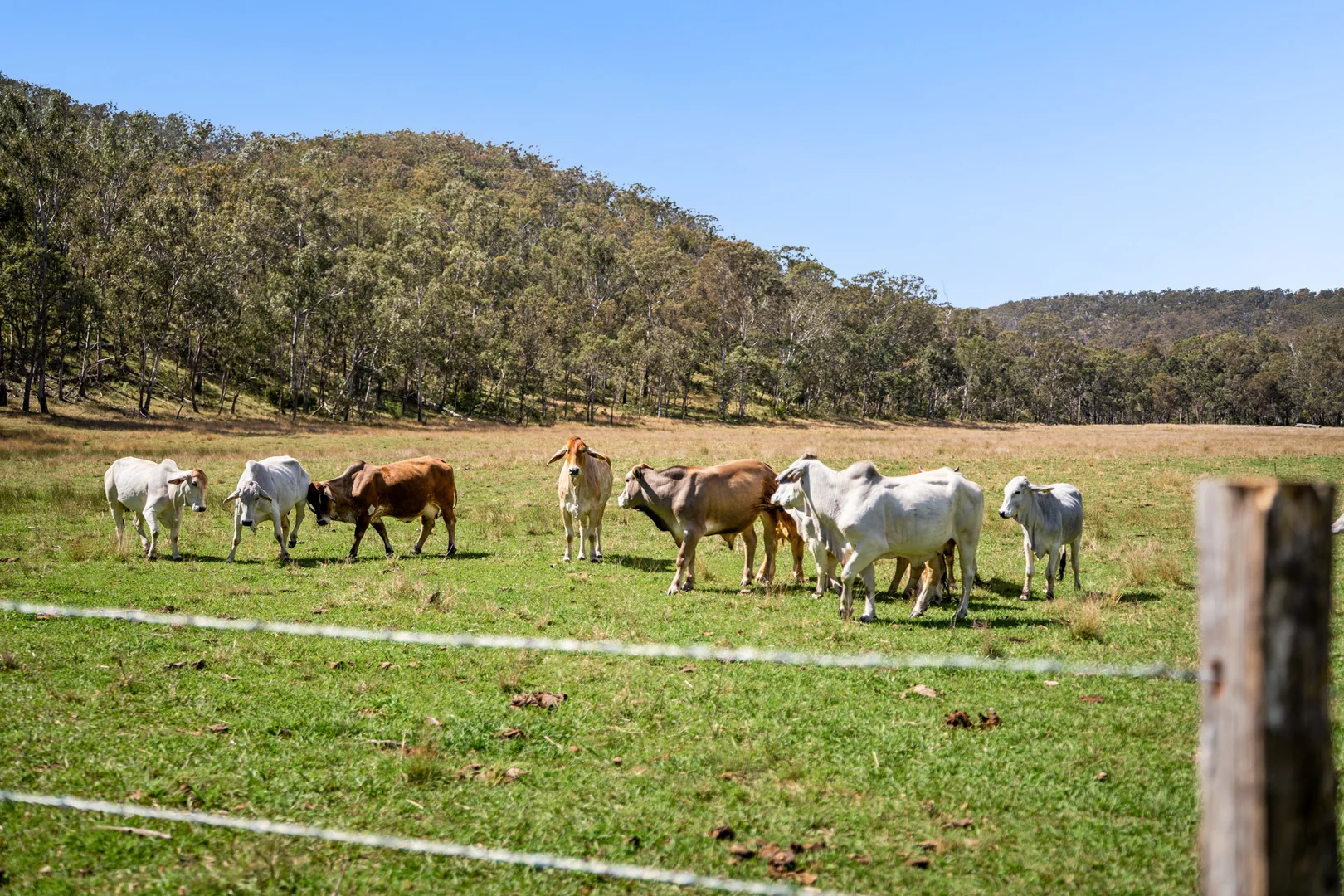 Additional image 6 of 'Yabragunyah' Pilton Valley Road, Upper Pilton QLD 4361