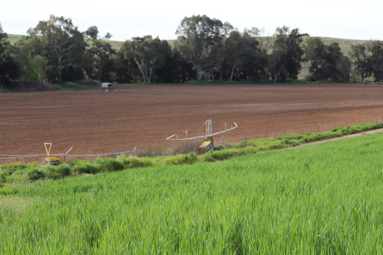 Additional image 10 of 2350 George Russell Drive, Canowindra NSW 2804