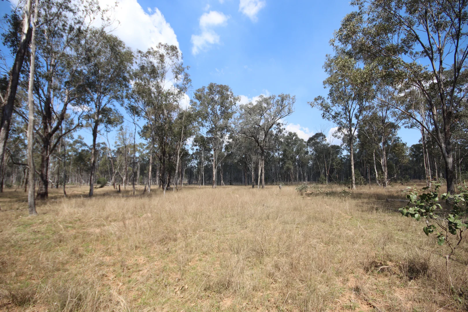Additional image 2 of Lot D Mundubbera Durong Road, Brovinia QLD 4626