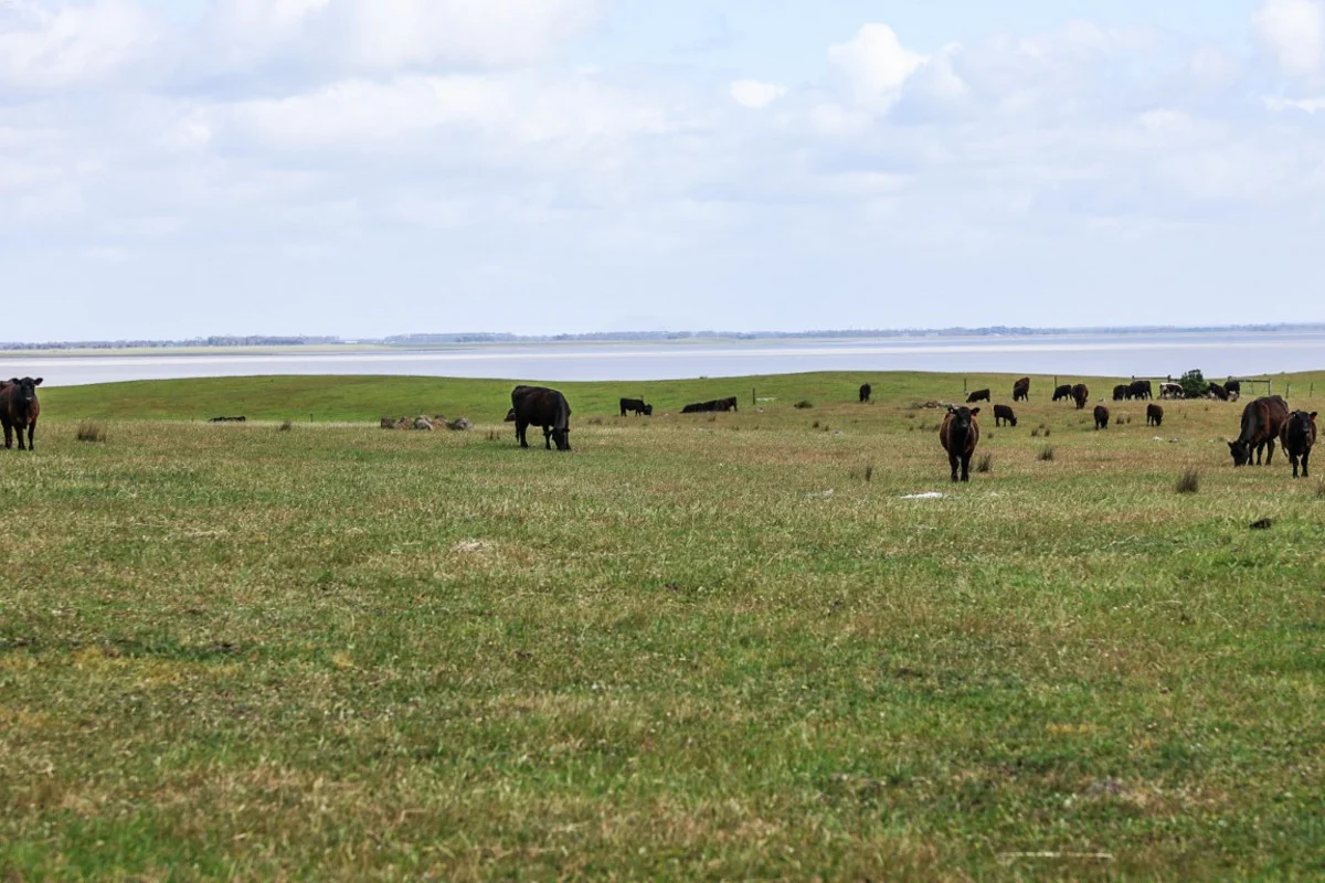 Additional image 11 of 745 South Dreeite Road, Dreeite South VIC 3249