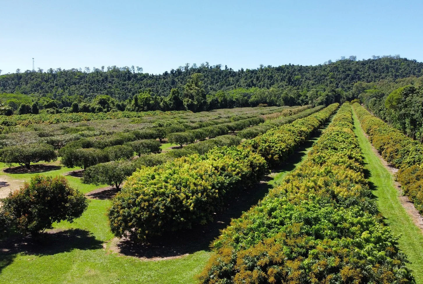 Additional image 43 of 281 Dingo Pocket Rd, Dingo Pocket QLD 4854