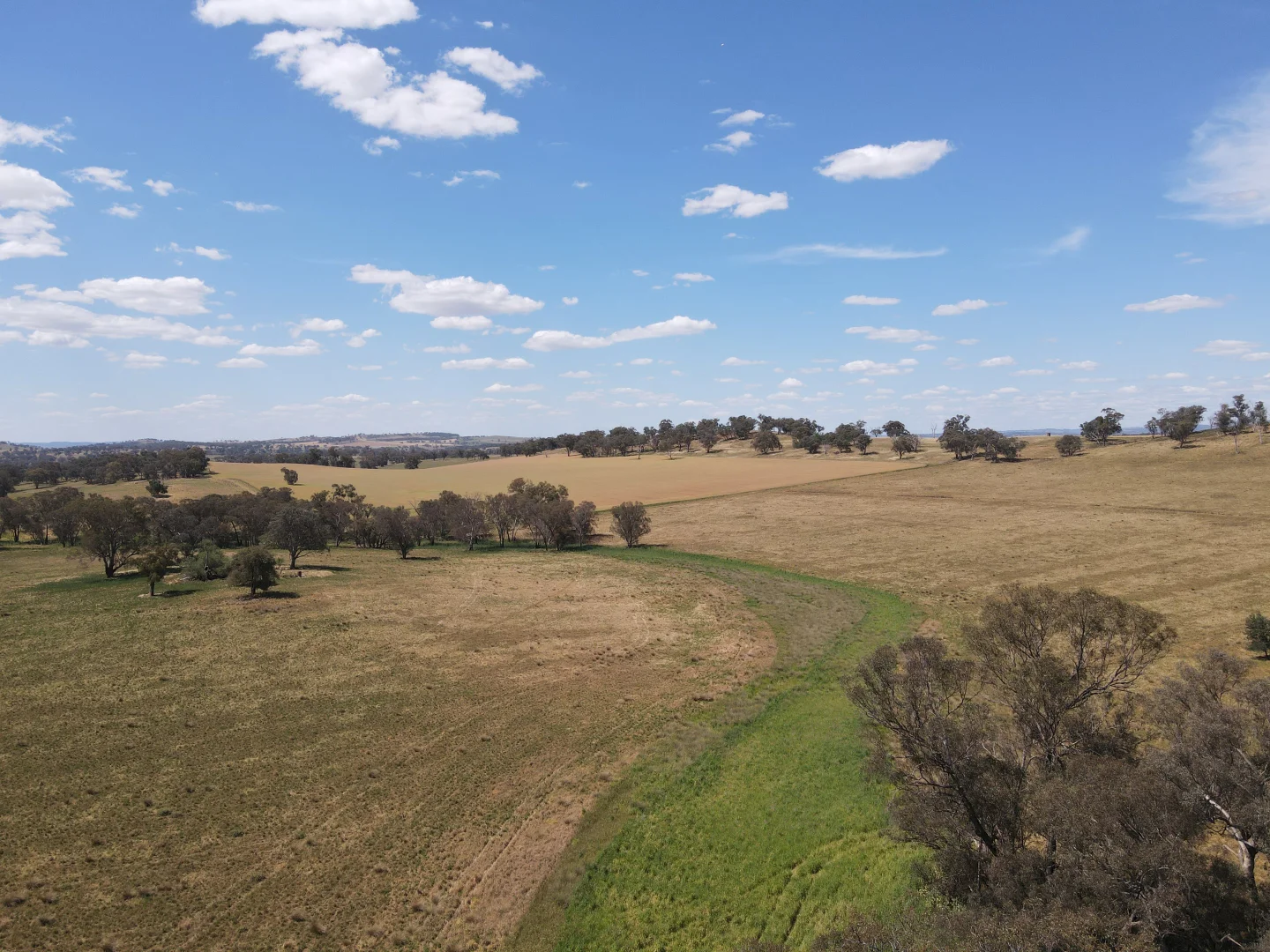 Additional image 3 of 1 Tremains Lane, Toogong NSW 2864