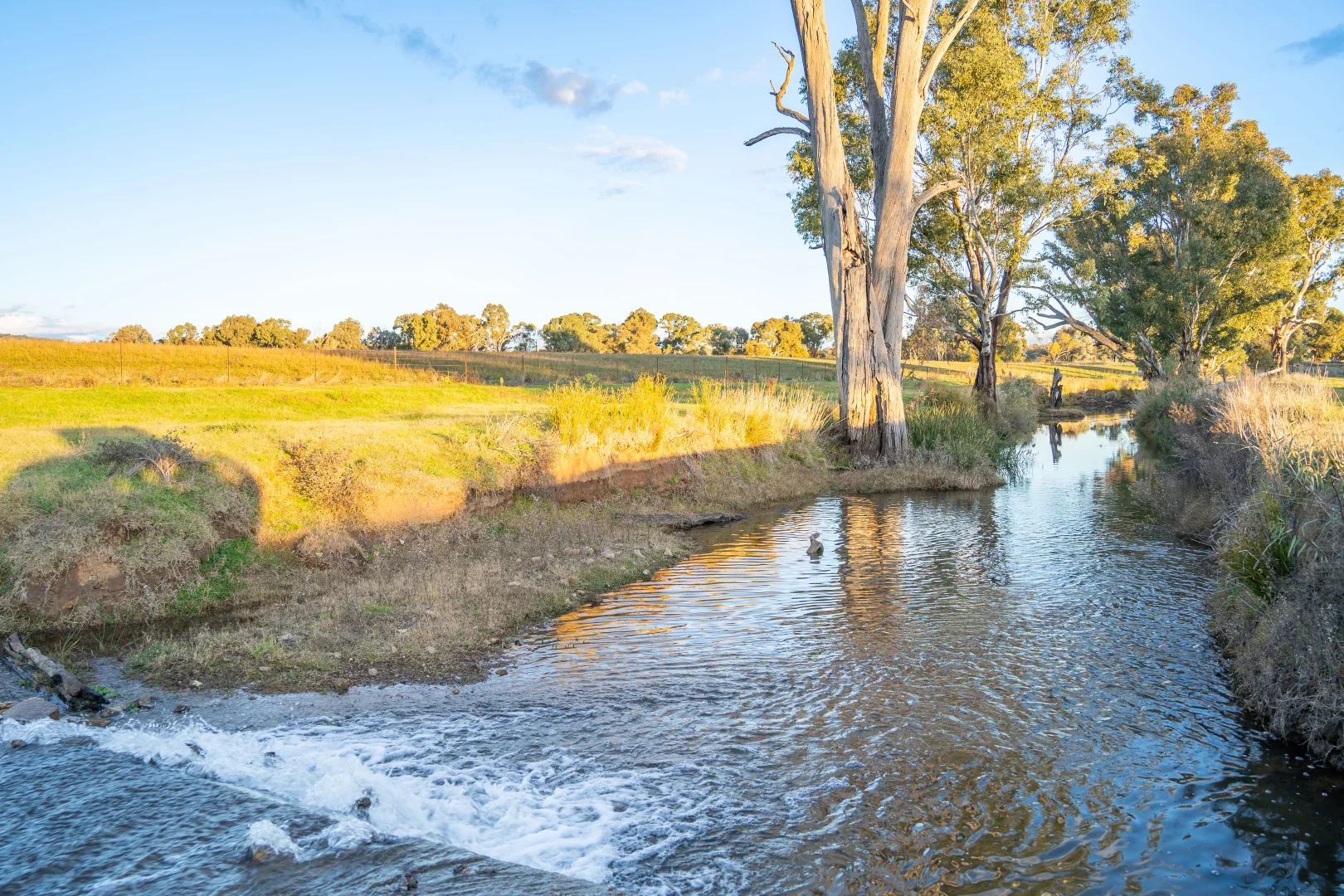 Additional image 5 of 14 Packs Grant Road, Cowra NSW 2794