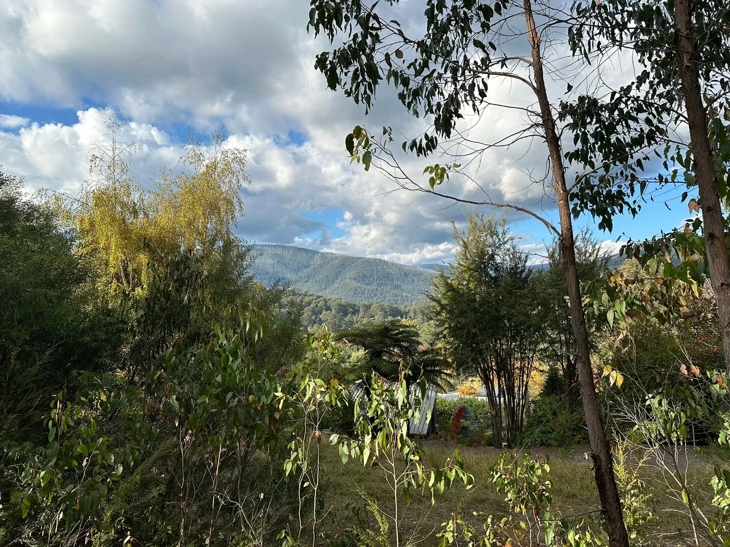 3 Kings Road, Marysville VIC 3779