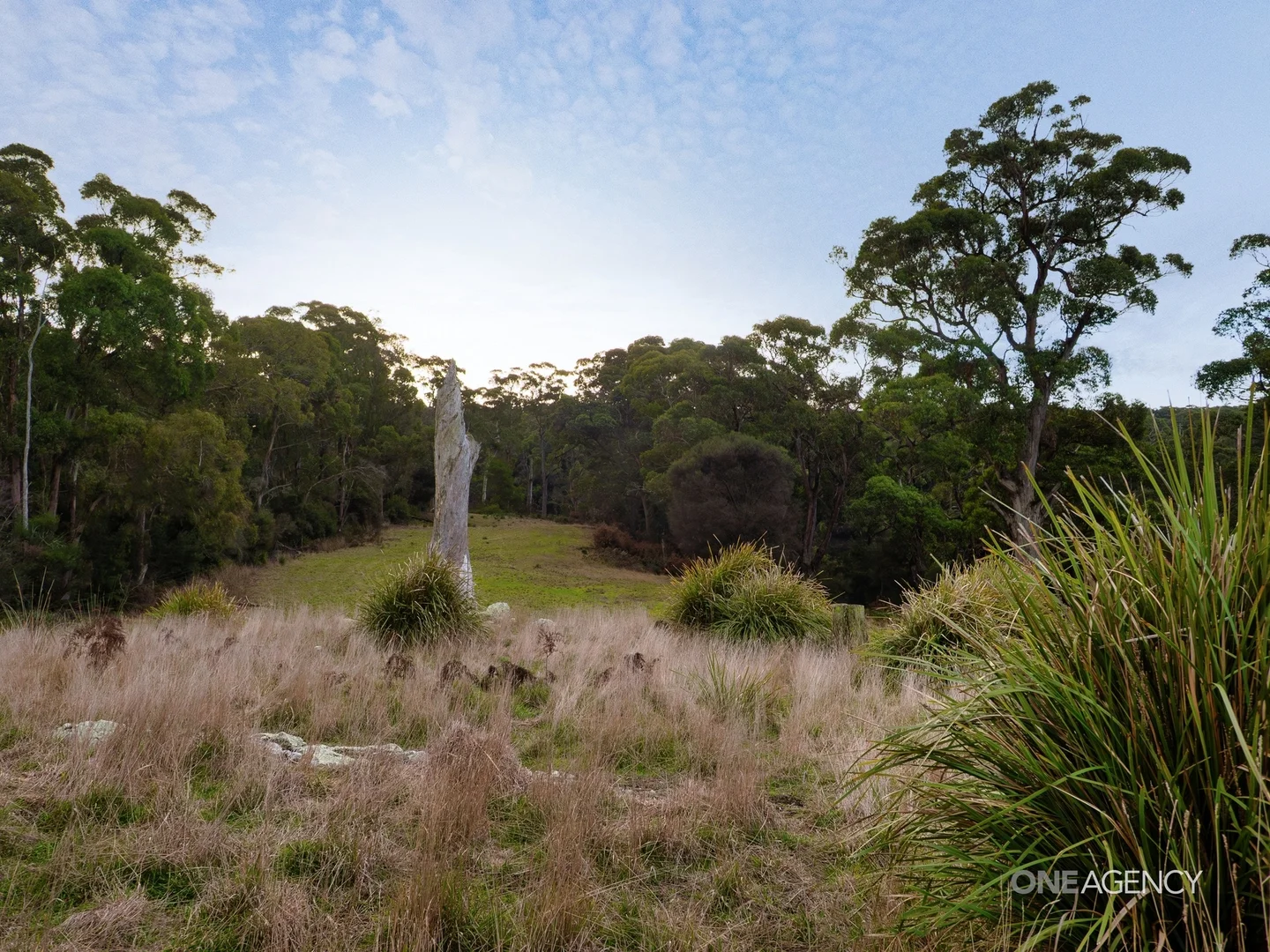 Additional image 7 of Lot 1 Boyndey Road, Black River TAS 7321
