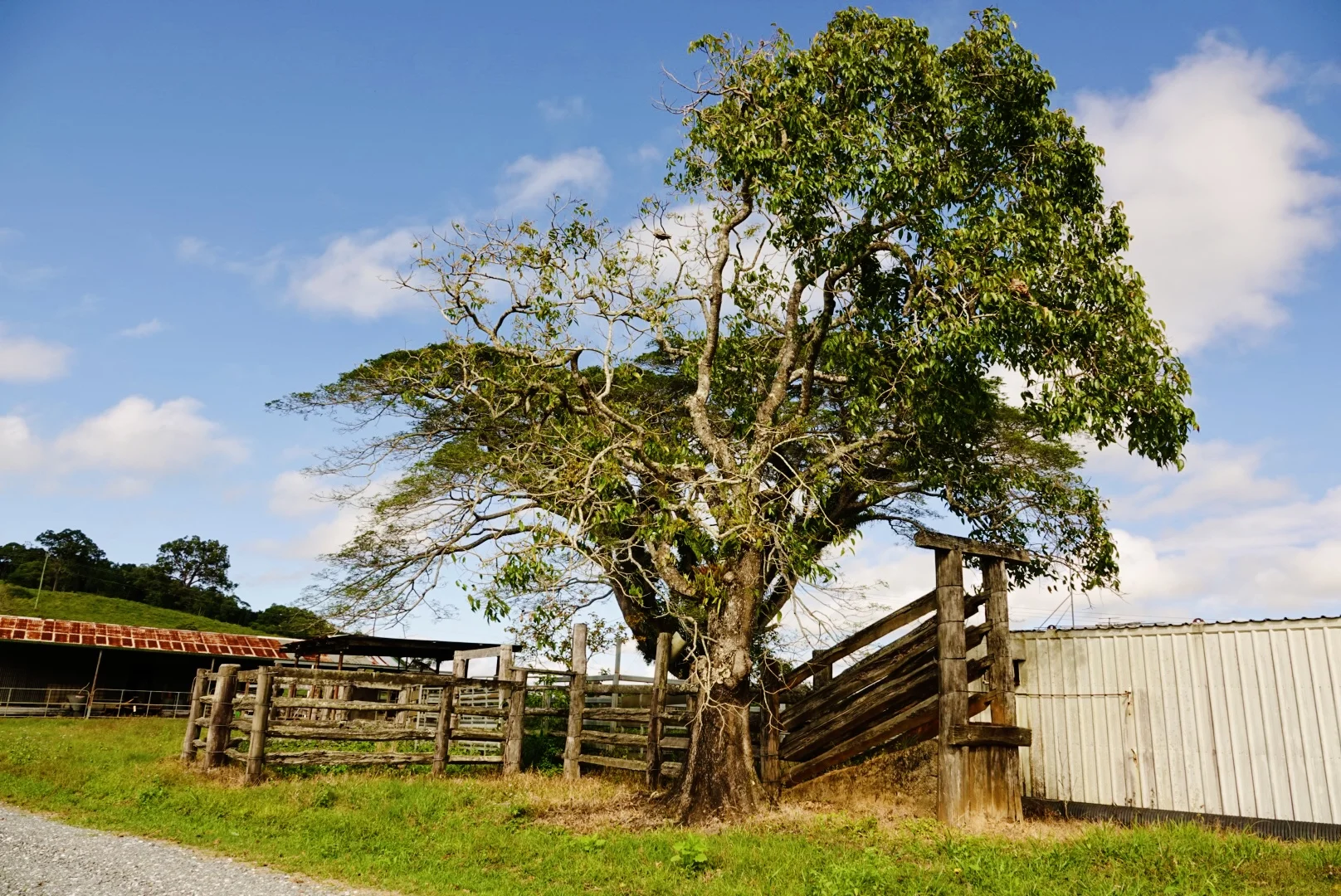Additional image 35 of 1297 Mossman - Mt Molloy Rd, Julatten QLD 4871