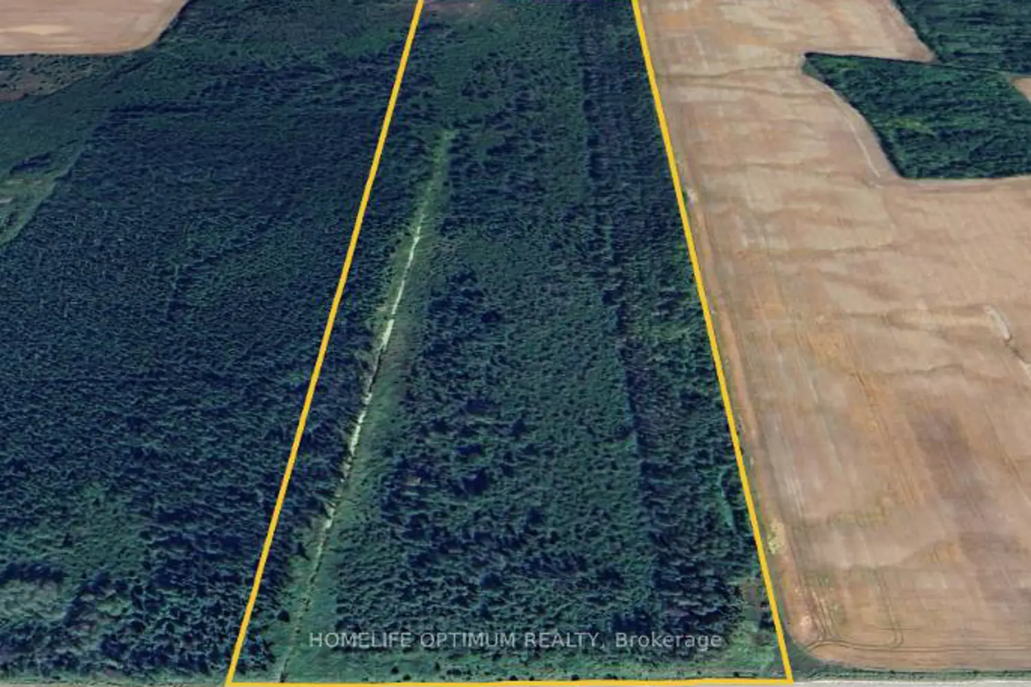 Additional image 2 of 76 Acres In Glackmeyer Township Pcl 3225
