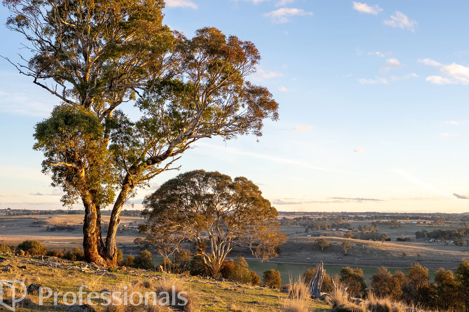 Additional image 15 of 174 Emu Swamp Road, Orange NSW 2800
