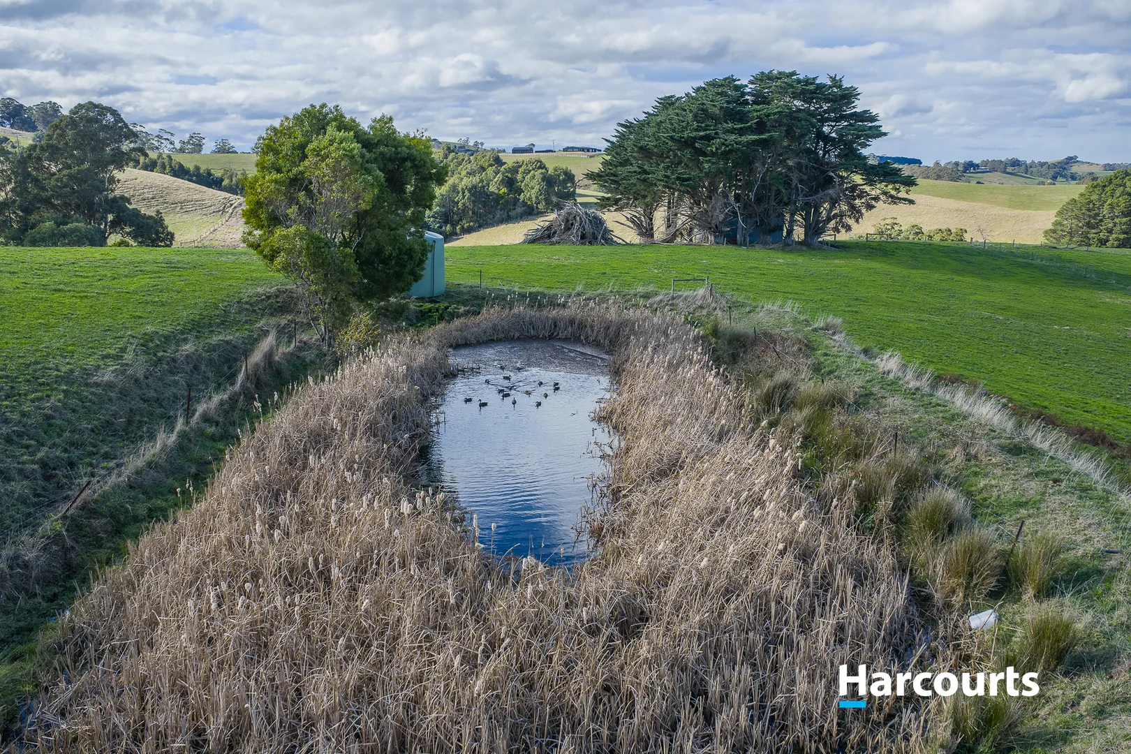 Additional image 38 of 37 Bells Road, Mount Eccles VIC 3953