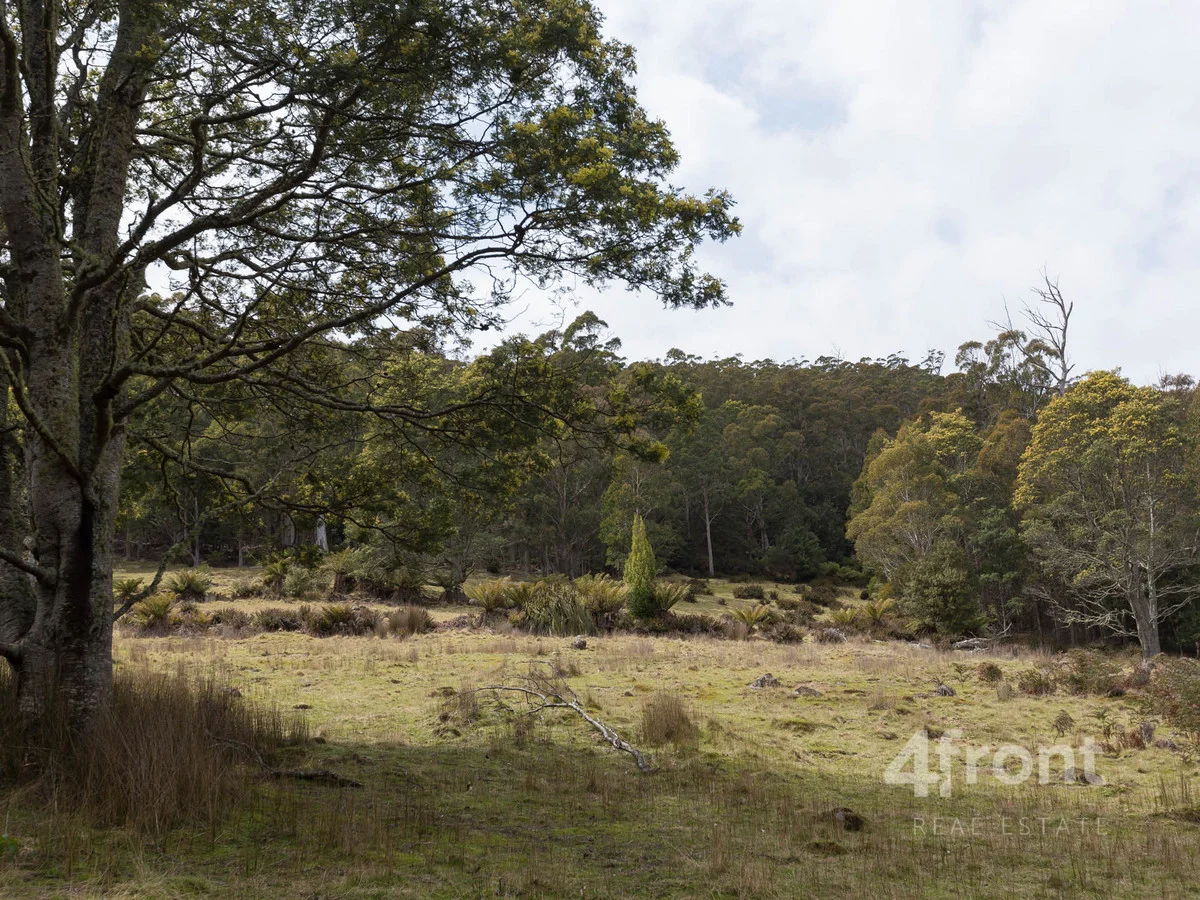 Additional image 14 of 1 and 2/141 Tiers View Road, Golden Valley TAS 7304