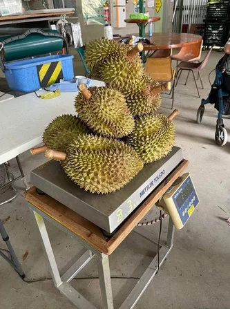 Additional image 32 of 281 Dingo Pocket Rd, Dingo Pocket QLD 4854