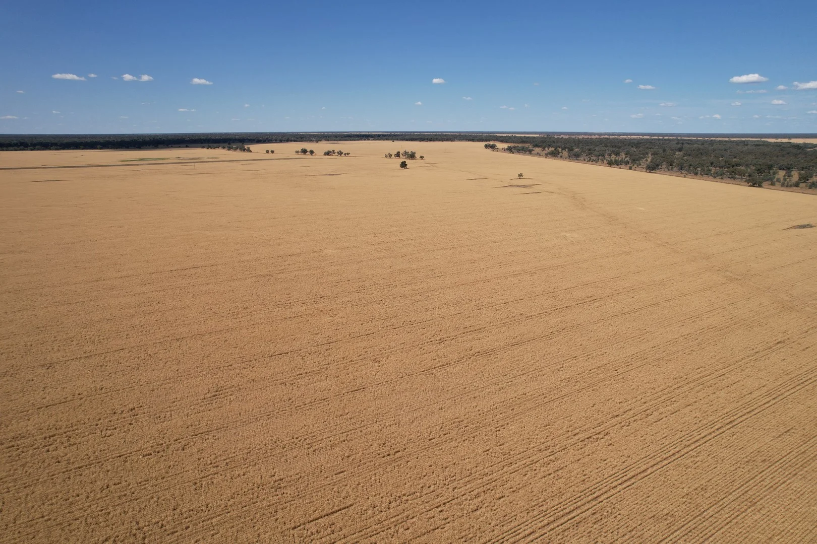 Additional image 3 of 3282 Gungalman Road, Carinda NSW 2831