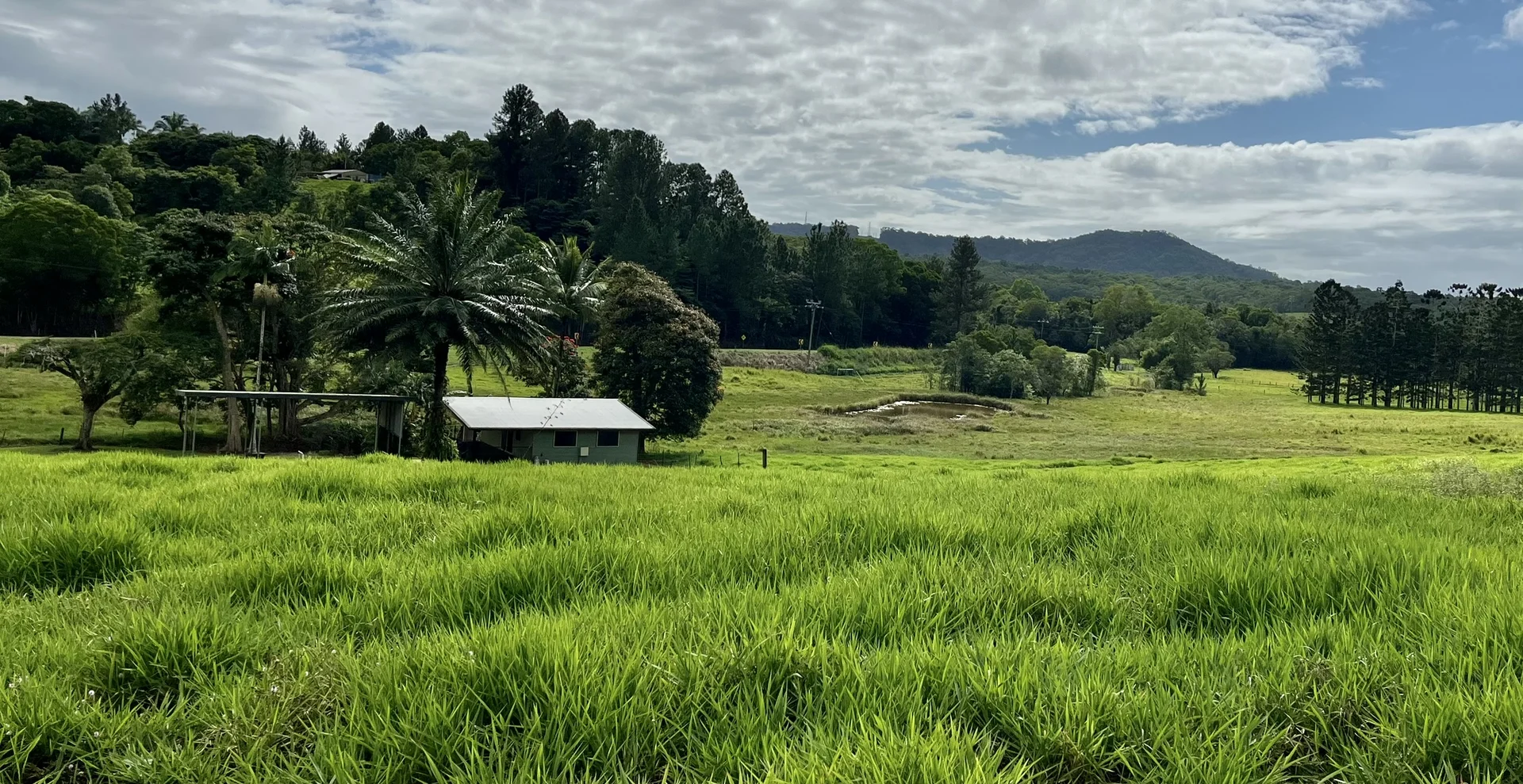 Additional image 41 of 1297 Mossman - Mt Molloy Rd, Julatten QLD 4871