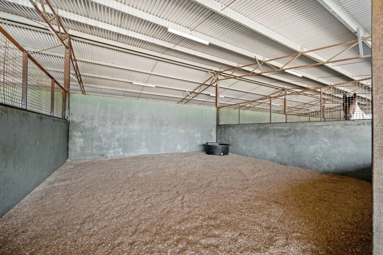 Additional image 11 of 220 Highlands Road, Seymour VIC 3660