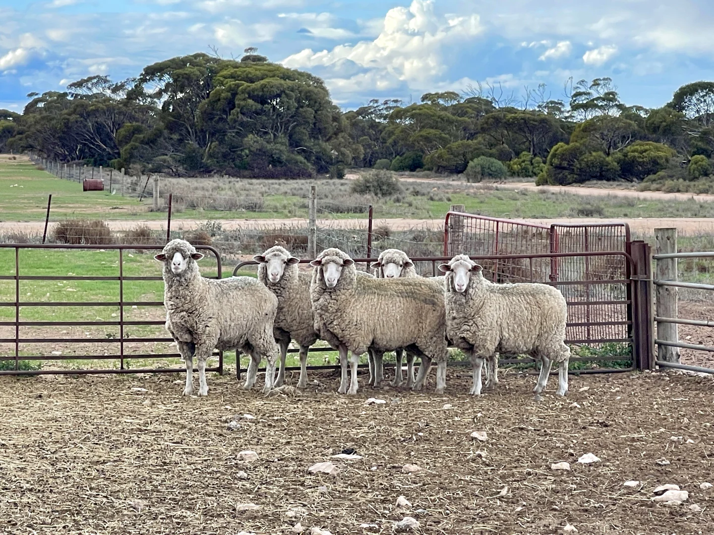 Additional image 6 of 1830 Finlayson Road, Petina SA 5680