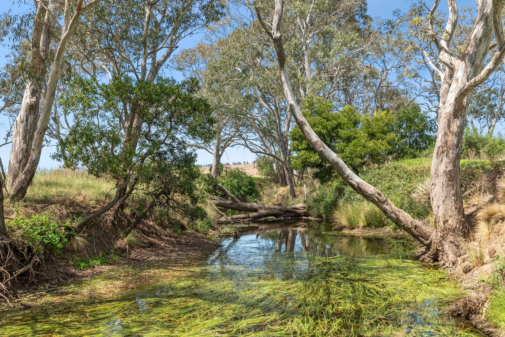 Additional image 14 of 894 Midland Highway, Batesford VIC 3213