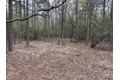 Additional image 30 of Old Bradley Rd, Mardela Springs, MD, 21837