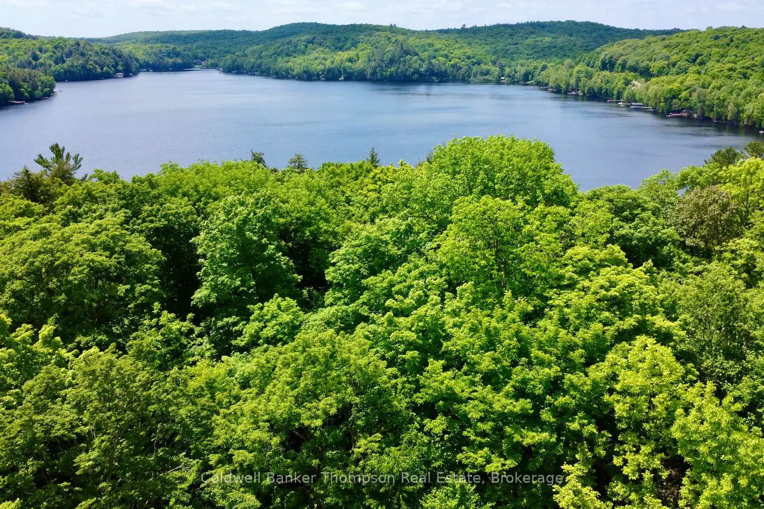 Additional image 9 of 265 Sharon Drive