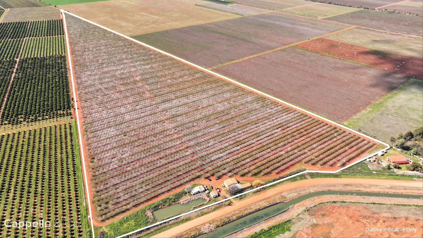 Additional image 4 of 226 & 276 New Farms Road, Nericon NSW 2680