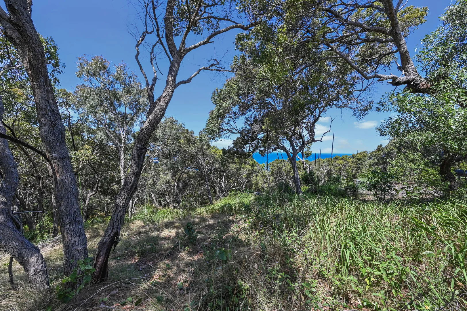 Additional image 7 of 41 Grevillia Court, Agnes Water QLD 4677