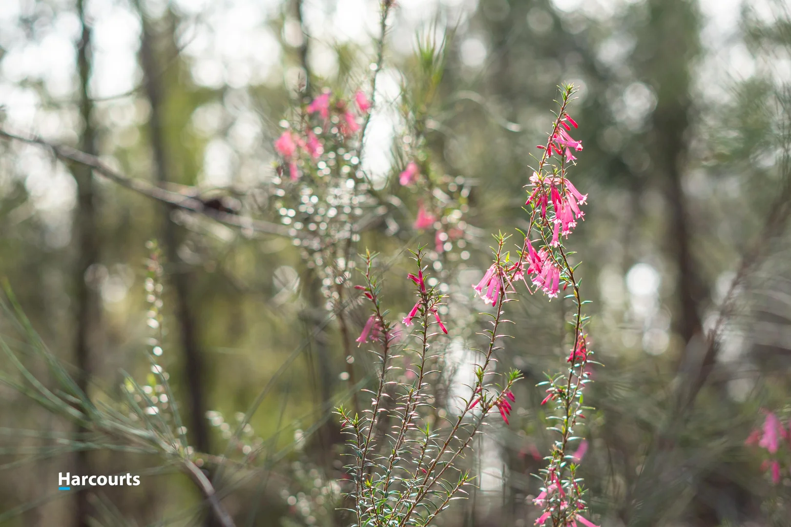 Additional image 4 of 44 Klasen Road, Police Point TAS 7116