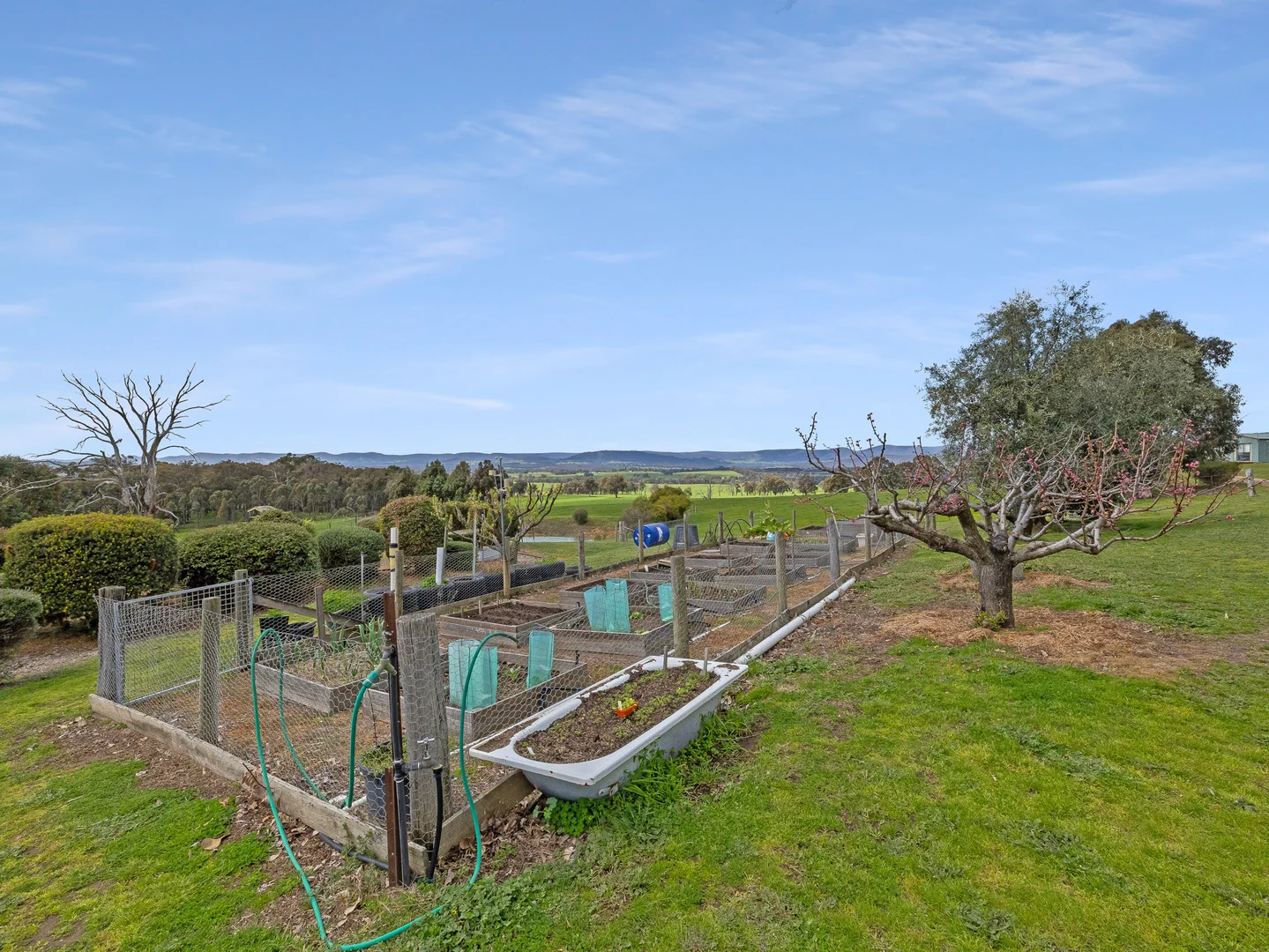 Additional image 20 of 49 Klicitat Lane, Lima VIC 3673