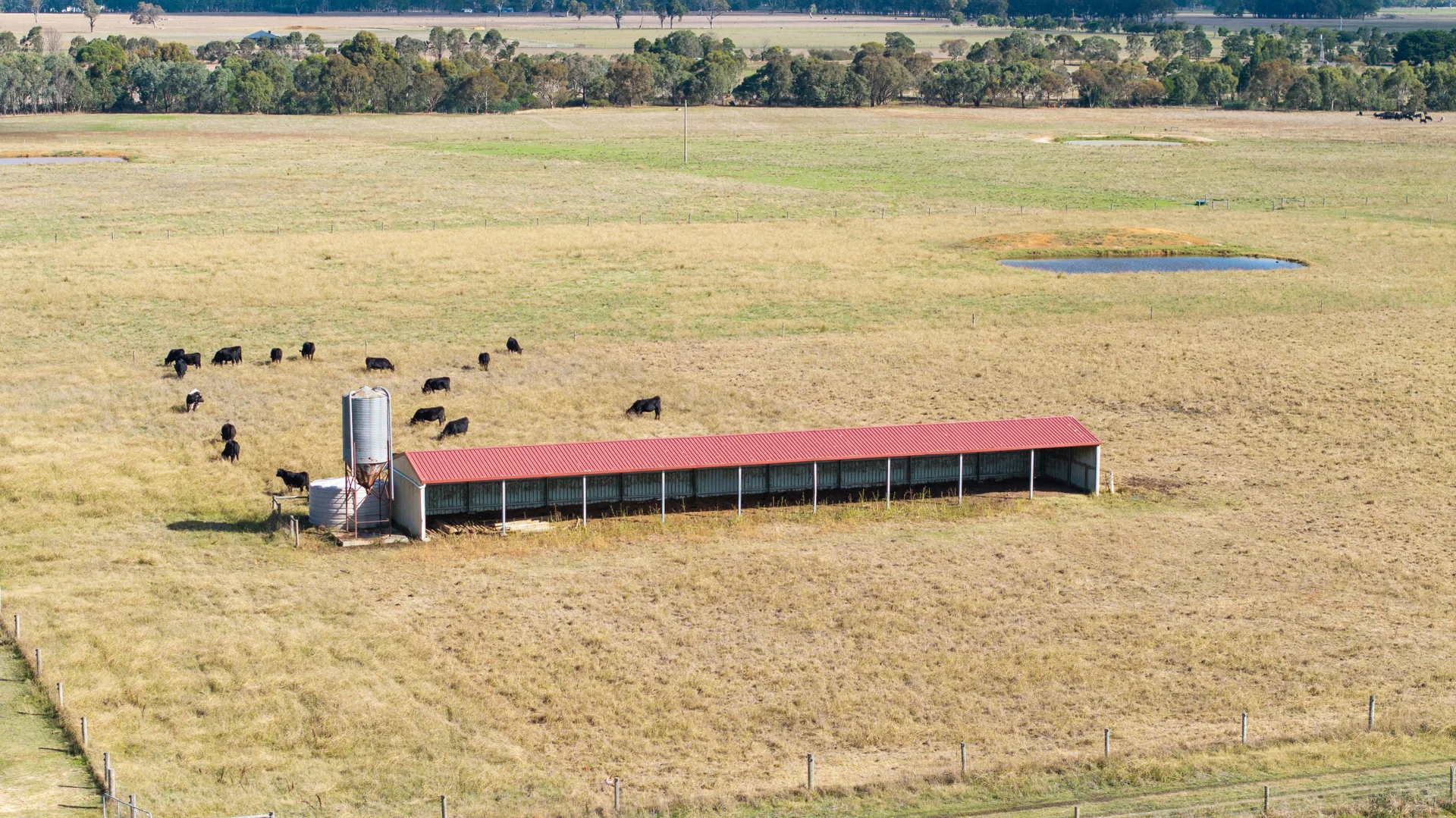 Additional image 6 of Toongabbie VIC 3856