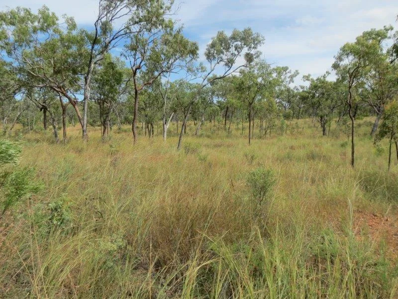 Additional image 31 of Van Lee Station, Mount Surprise QLD 4871