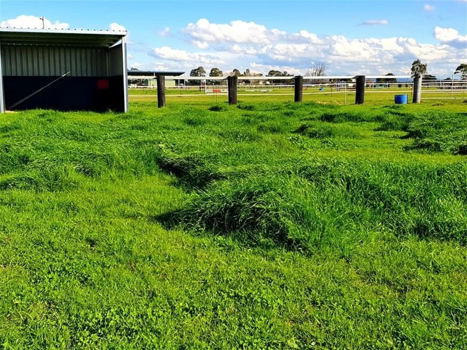 Additional image 14 of 240 SCOTCH CREEK ROAD, Millers Forest NSW 2324