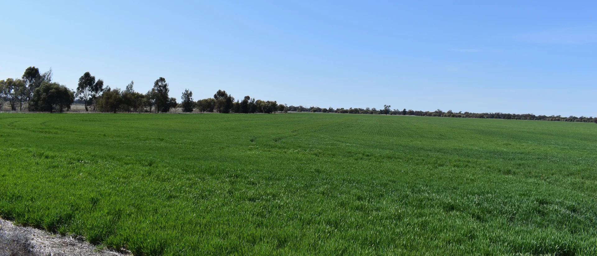 Additional image 14 of 6689 Mid Western Highway, Caragabal NSW 2810