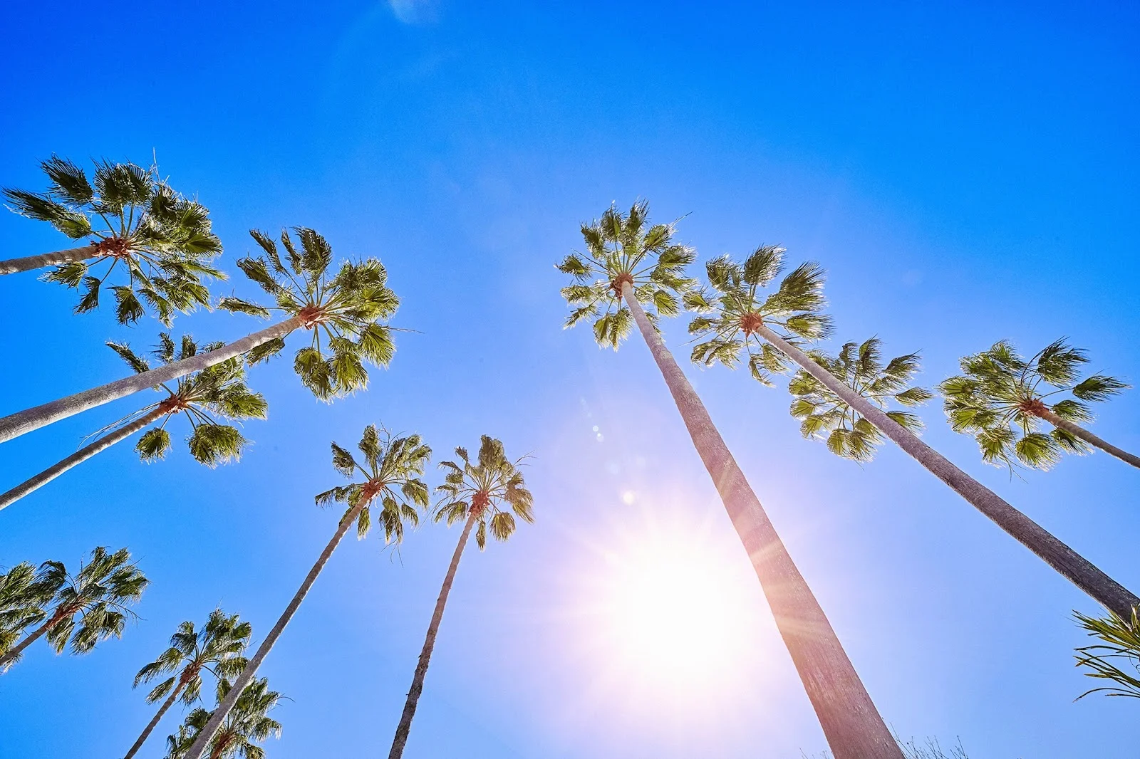 Additional image 13 of Hope Island QLD 4212