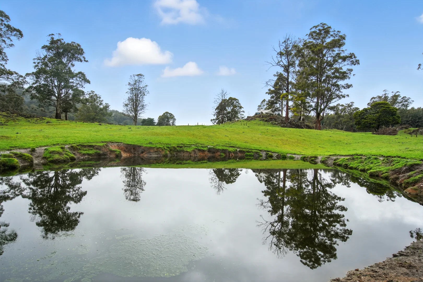 Additional image 5 of 64 Mersey Forest Road, Liena TAS 7304