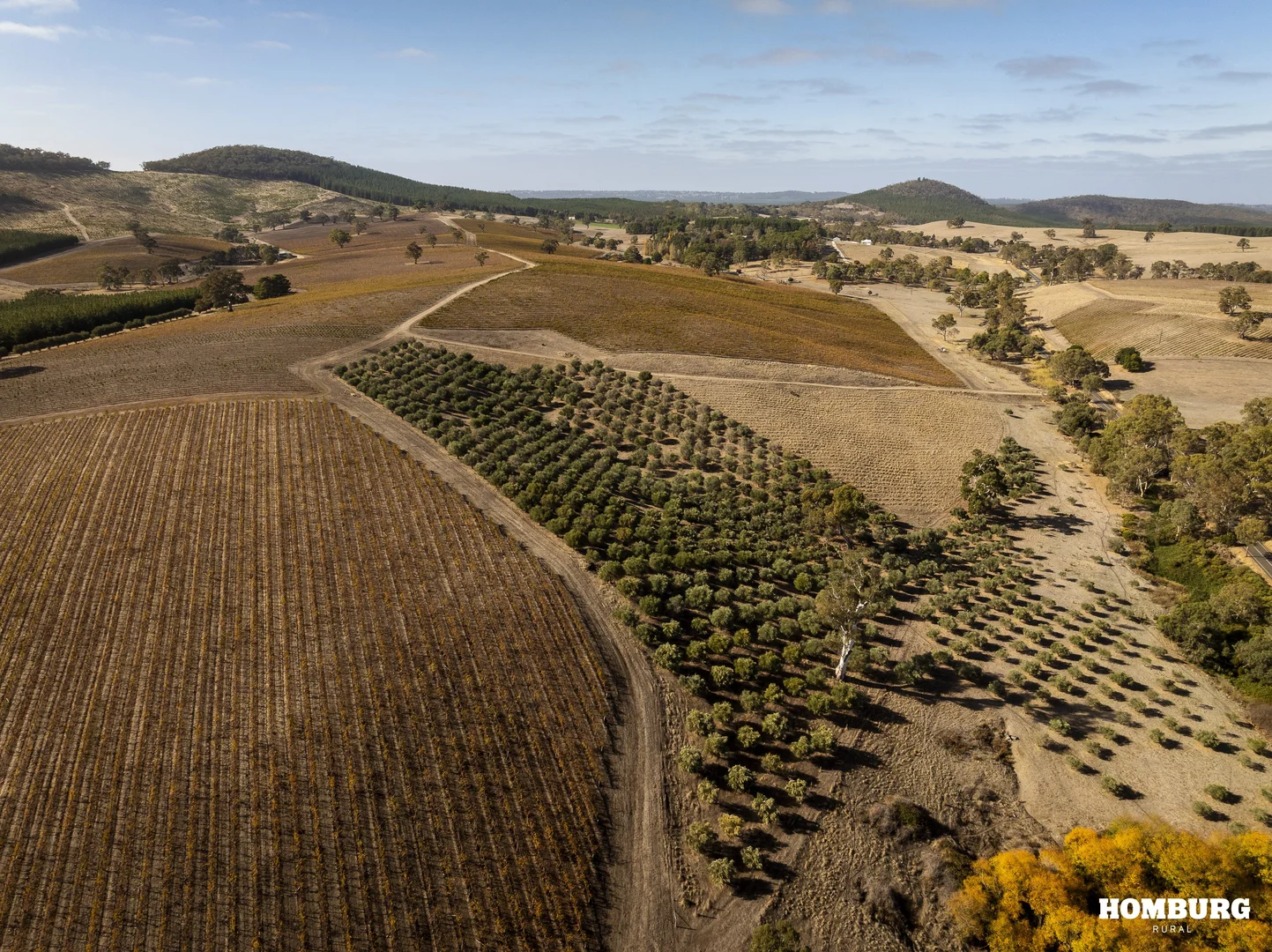 Additional image 3 of 453 Springton Road, Pewsey Vale SA 5351