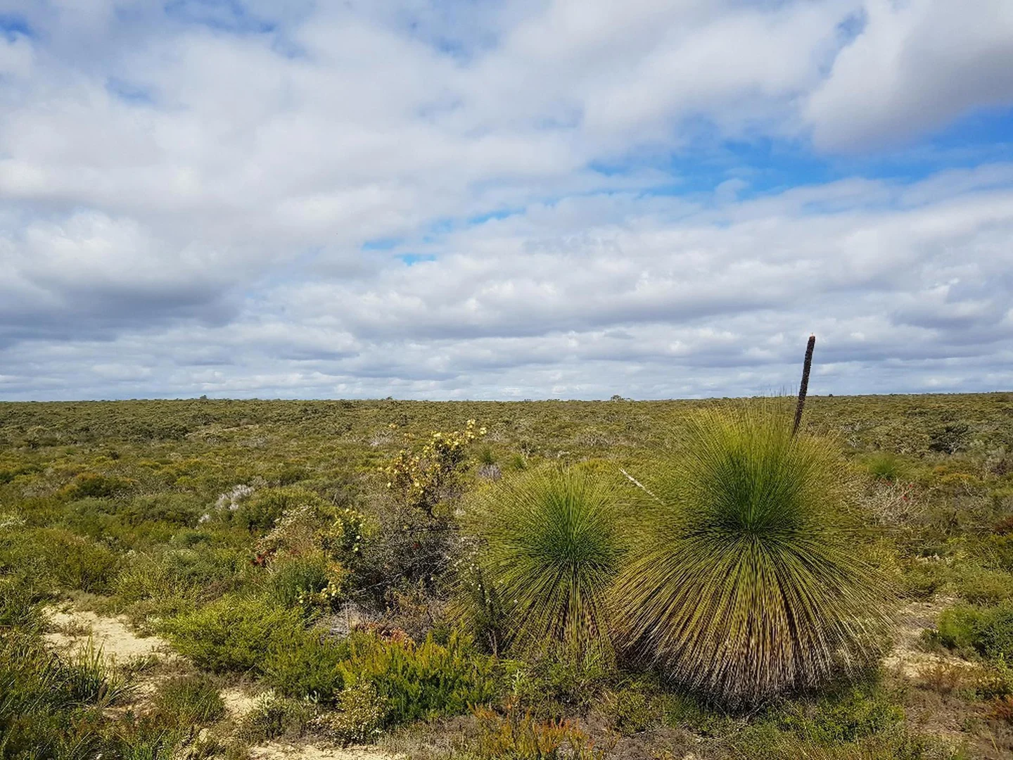 Additional image 4 of 277 PREMIER Drive, Jurien Bay WA 6516