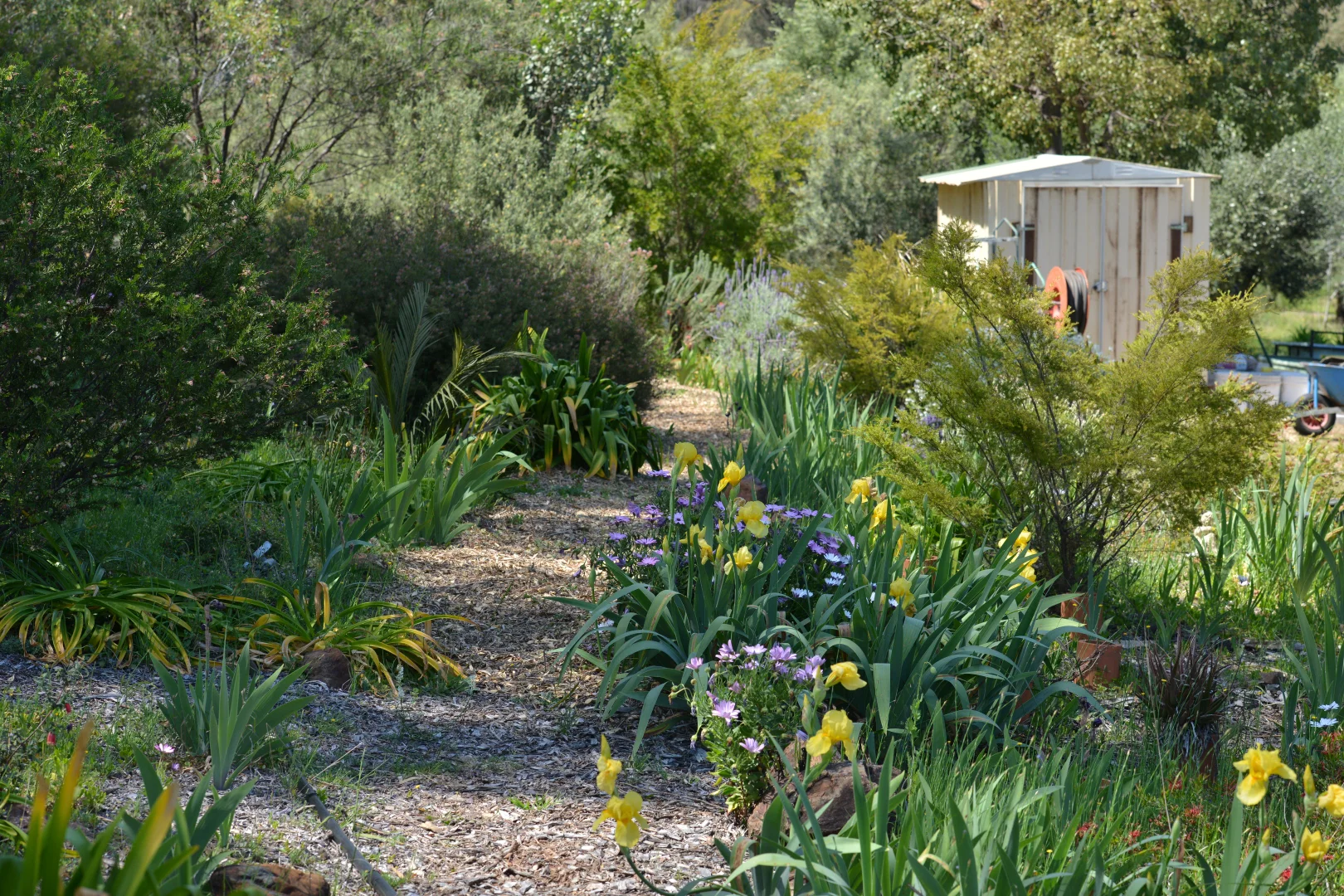 Additional image 24 of 20 Kurrajong Road, Coonabarabran NSW 2357