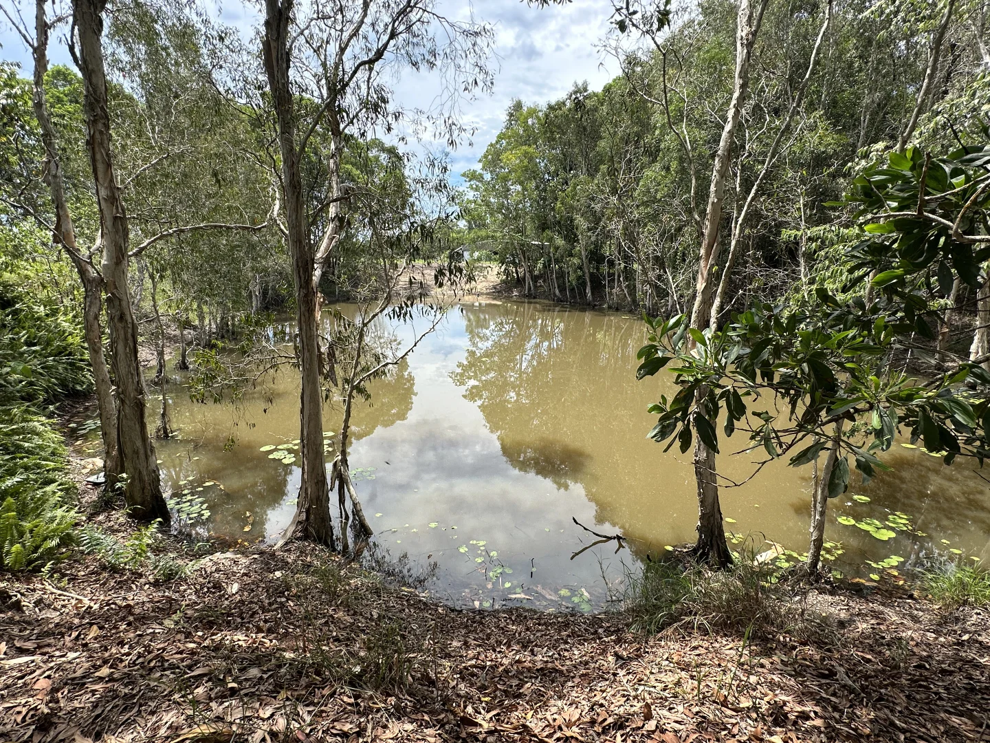 Additional image 3 of 680 Bluff Road, Bilyana QLD 4854