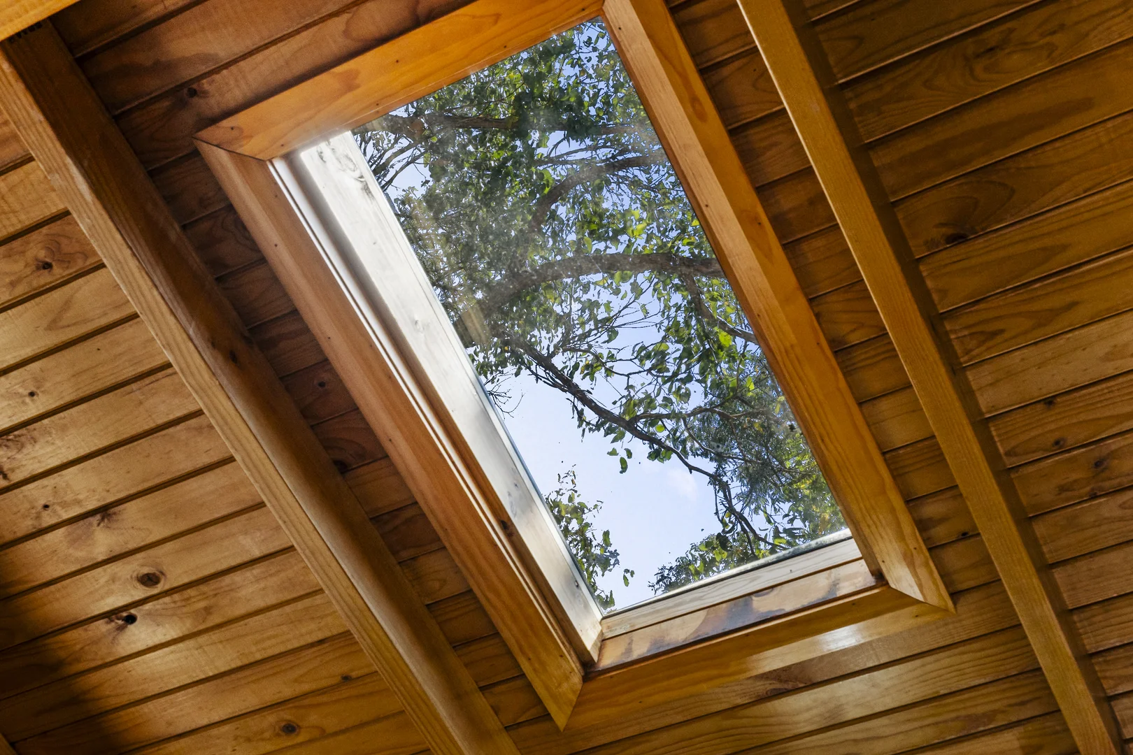 Additional image 11 of Cabin 9/6955 Arthur Highway, Port Arthur TAS 7182