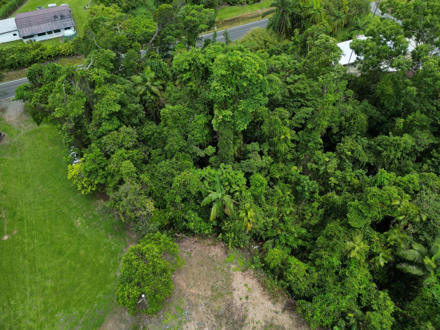 Additional image 19 of 2869 Mossman Daintree Road, Lower Daintree, Daintree QLD 4873