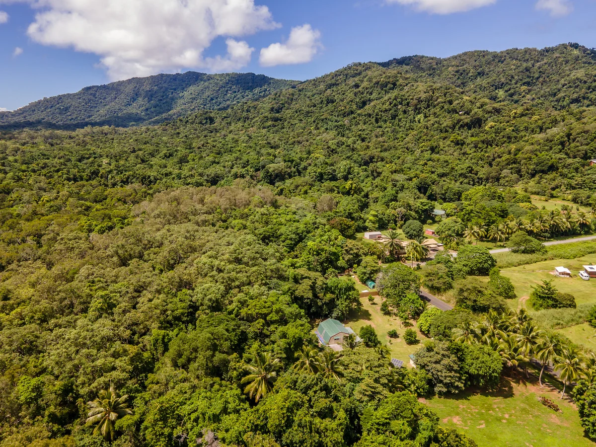 Additional image 13 of 227 Buchanan Creek Road, Cow Bay QLD 4873