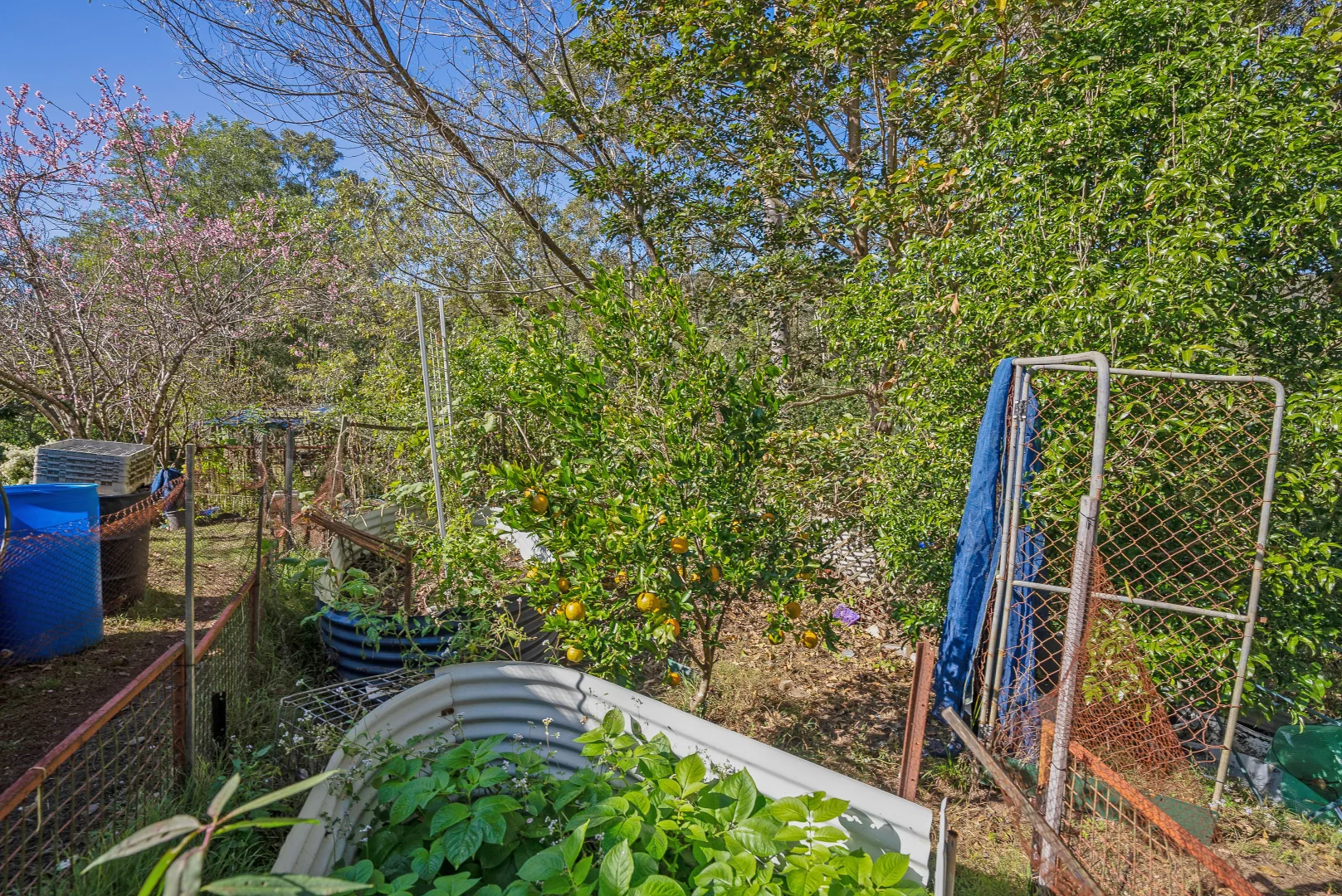 Additional image 27 of 115 Upper Cherry Tree Road, Upper Mongogarie NSW 2470