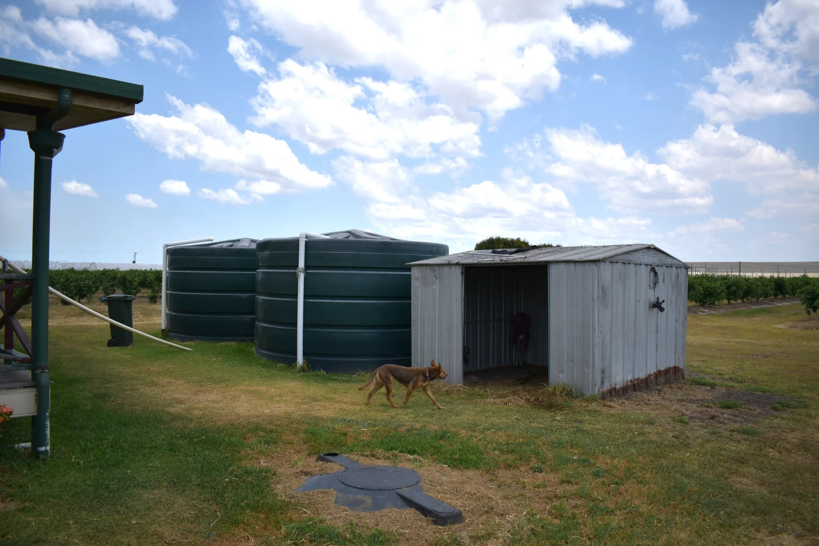 Additional image 11 of 135 Newlands Road, North Gregory QLD 4660