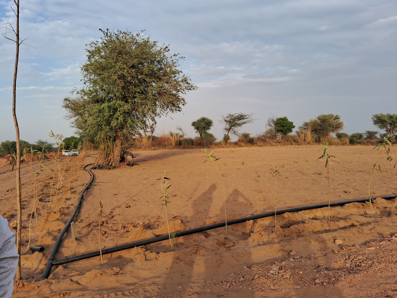 Additional image 3 of Asalpur, Jaipur