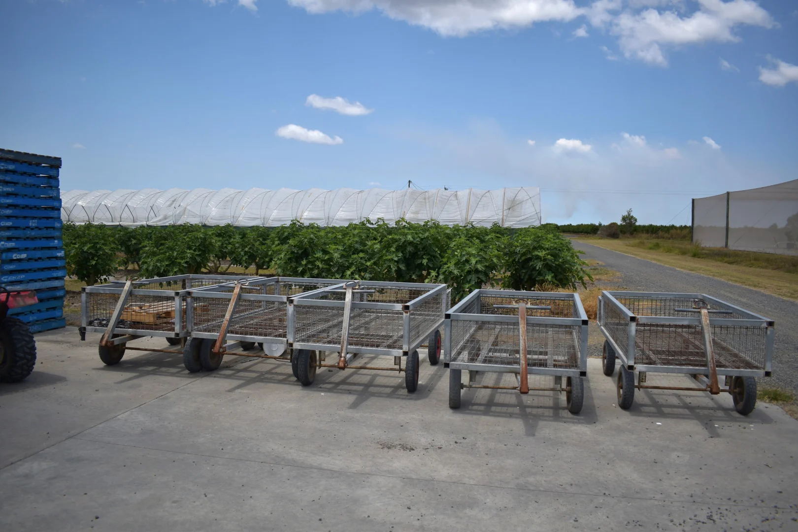 Additional image 14 of 135 Newlands Road, North Gregory QLD 4660