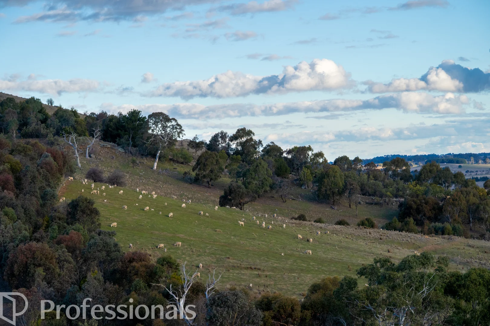 Additional image 17 of 174 Emu Swamp Road, Orange NSW 2800