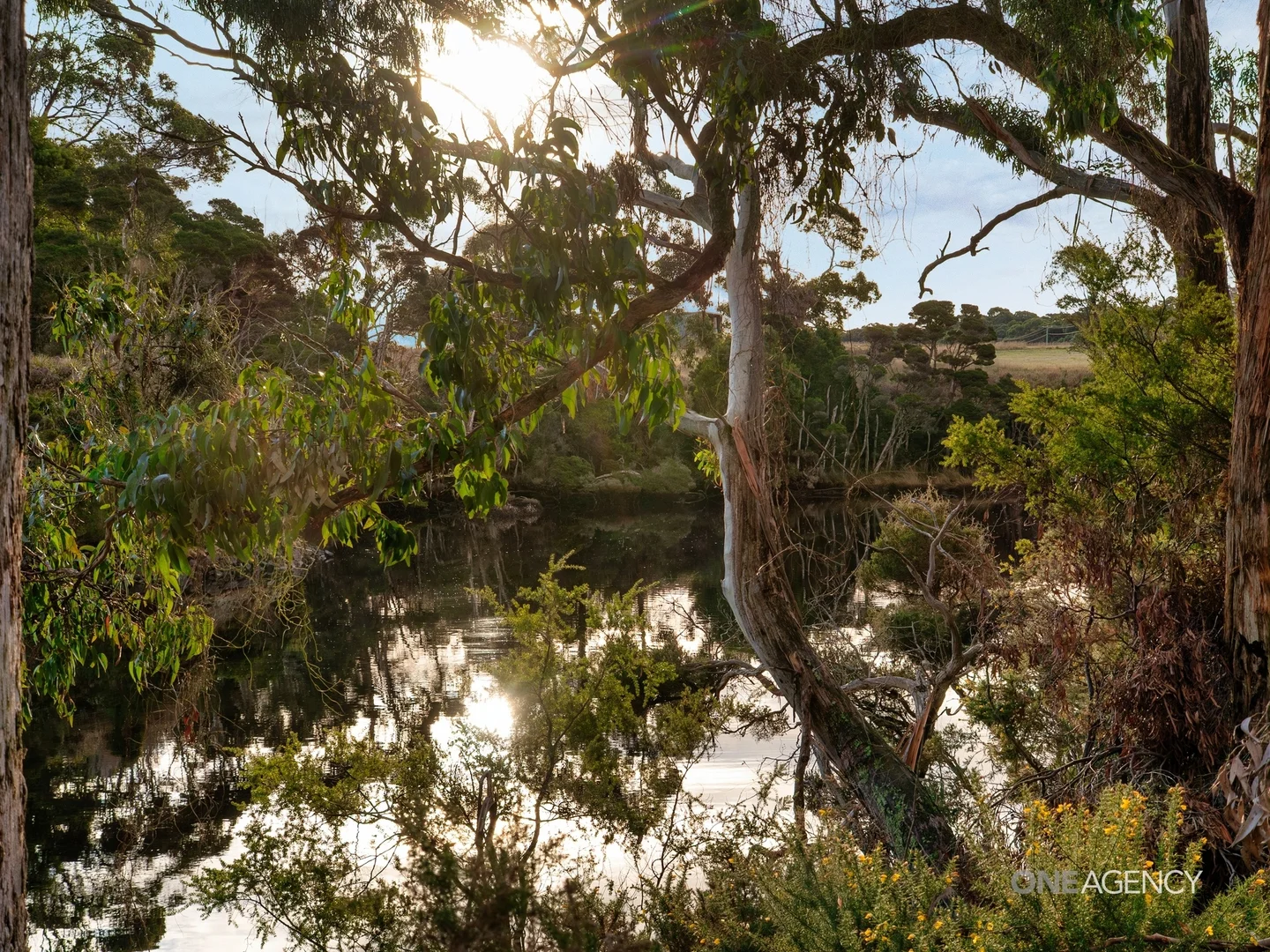 Additional image 15 of Lot 1 Boyndey Road, Black River TAS 7321