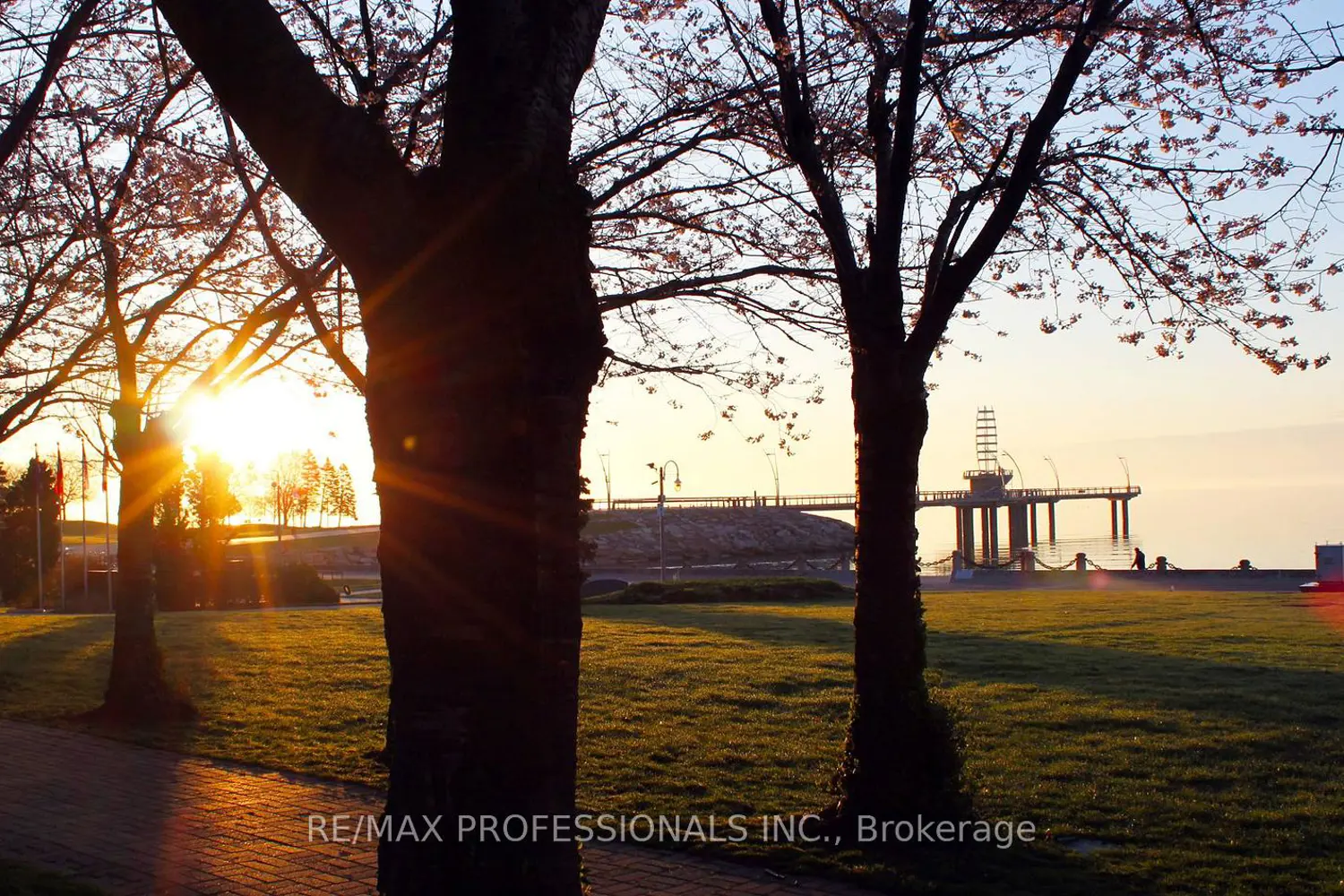 Additional image 15 of 370 Martha Street 802