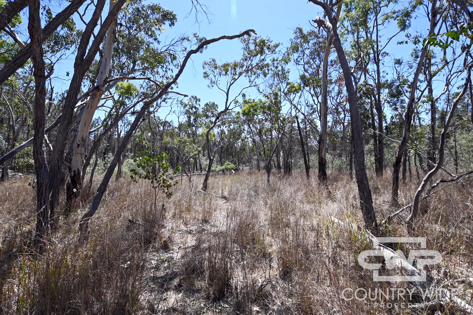 Additional image 7 of 11 Old Stannifer Road, Gilgai NSW 2360