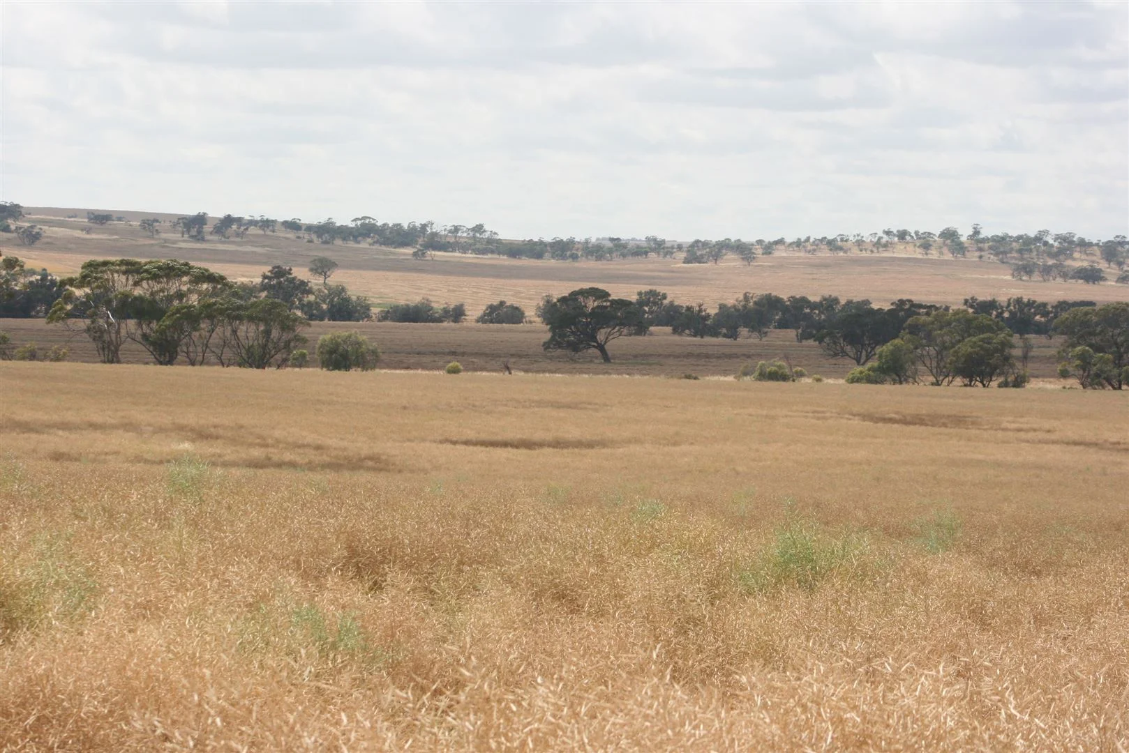 Additional image 8 of . Madews, Jennacubbine WA 6401