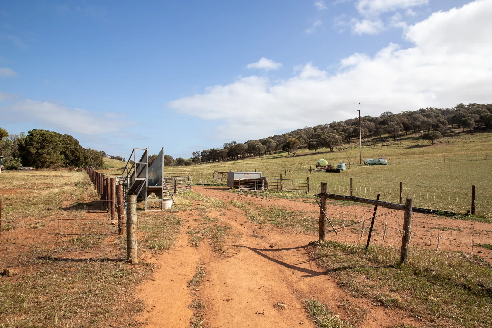 Additional image 15 of Lots 99 & Bawdens Road, Lipson SA 5607